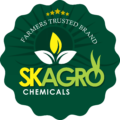 logo file